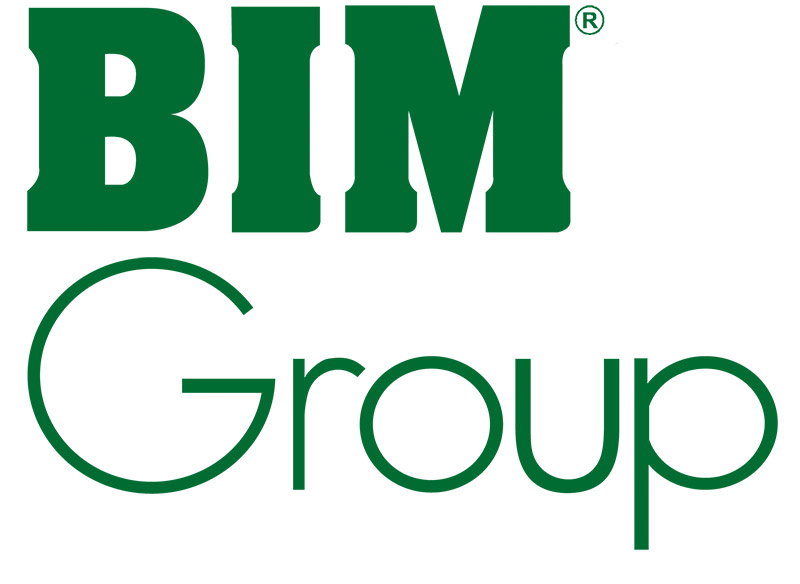 logo bimgroup