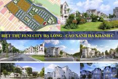 phoi canh tien do feni city ha long